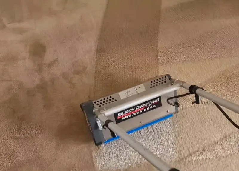 Why Carpet Cleaning Bridgeport connecticut