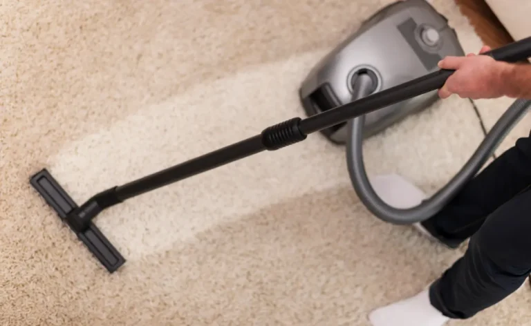 How Often Should You Get Your Carpets Professionally Cleaned?